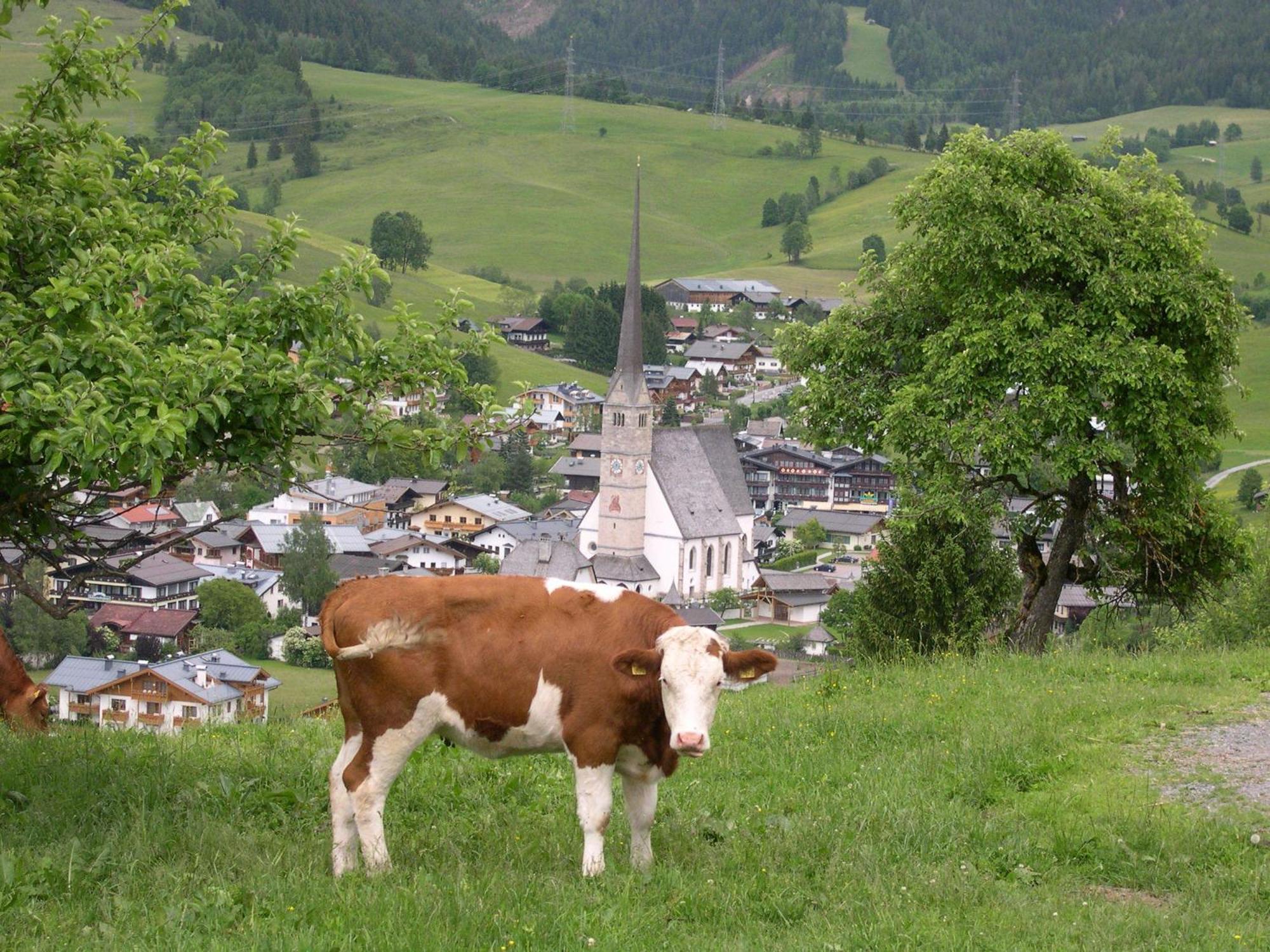 Feriennest Leitner Apartment Maria Alm am Steinernen Meer Bagian luar foto